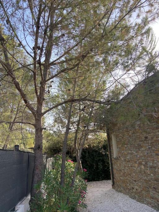 Maison Proche Du Pic Saint Loup Exteriér fotografie